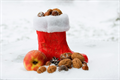gefüllter Nikolausstiefel mit Nüssen und Obst